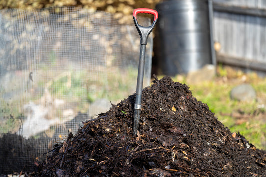 What is Ericaceous compost?