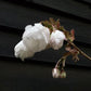 Cherry 'Shizuka' | Prunus Fragrant Cloud - 180-220cm - 12lt