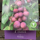 Plum 'Victoria' Half Standard | Prunus domestica - 130-150cm - 12lt
