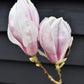 Magnolia x soulangeana | Saucer magnolia - 10lt