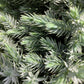 Juniperus squamata 'Blue Star' - 20-30cm - 5lt