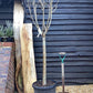 Pear tree 'Ercolini' | Pyrus communis  - Girth 18-20cm - 220-240cm - 50lt