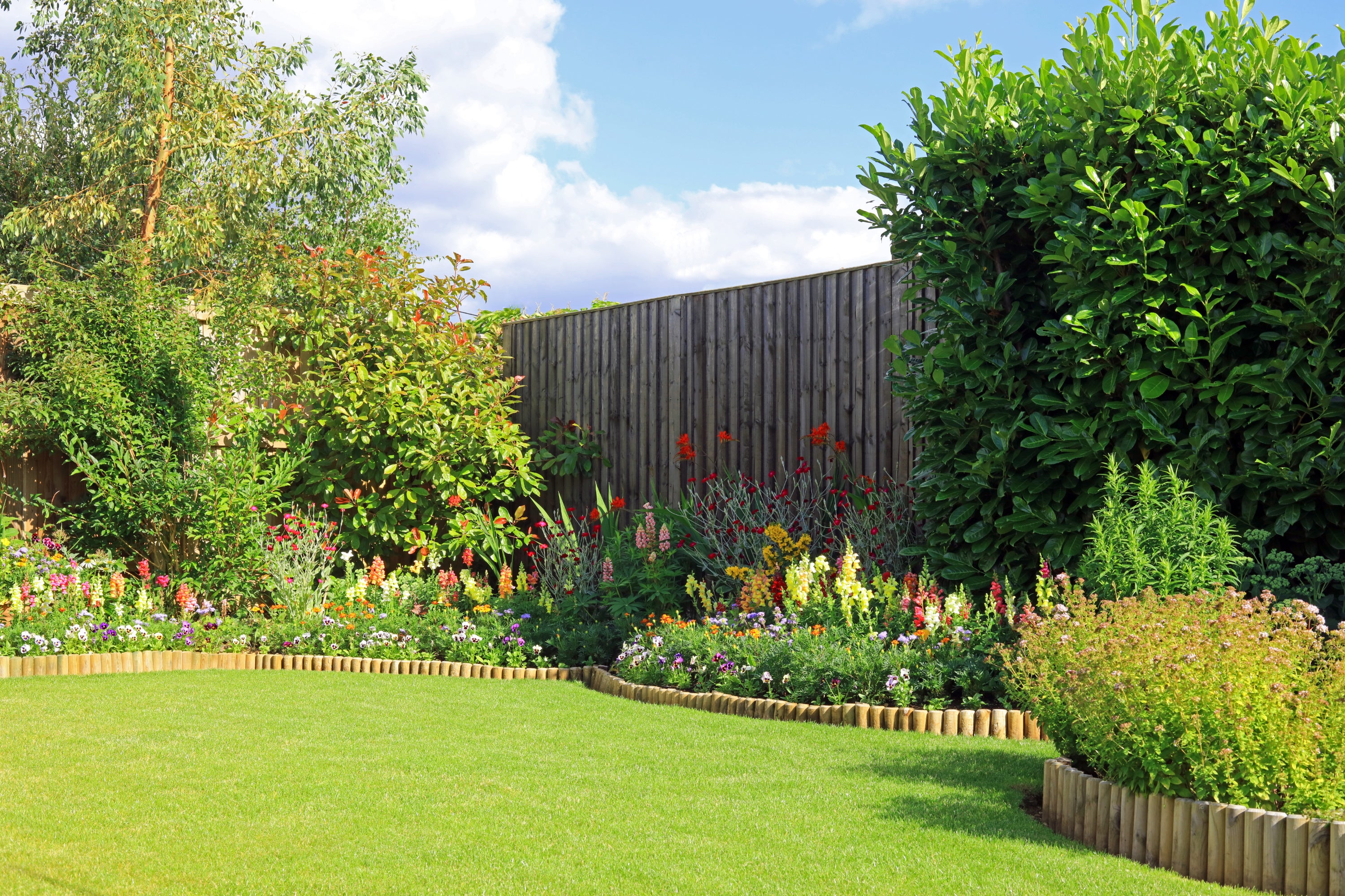 Tips on looking after your garden