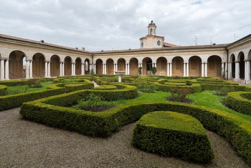 Replacing Box Hedging? The Best Low-Maintenance Alternatives for UK Gardens