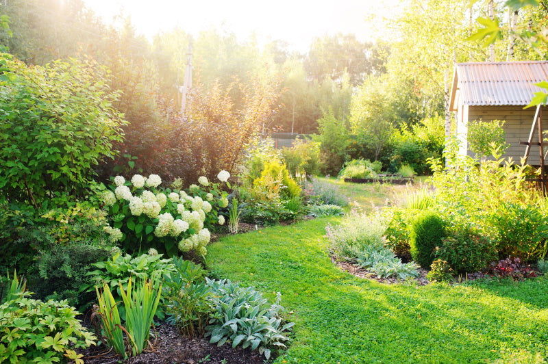 Tips for a low maintenance garden