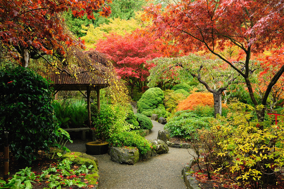 Create a Japanese garden with ease