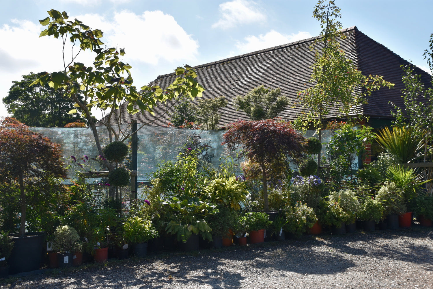 Caring for your Specimen Plants Arundel Arboretum