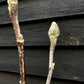 Magnolia Genie 1/4 Standard | Magnolia Genie - 165-210cm, 18lt