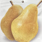 Pear tree 'Williams' Bon Chretien' | Pyrus communis  - 170-180cm - 30lt