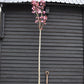 Prunus Royal Burgundy | Cherry 'Royal Burgundy' - 310-340cm, 50lt