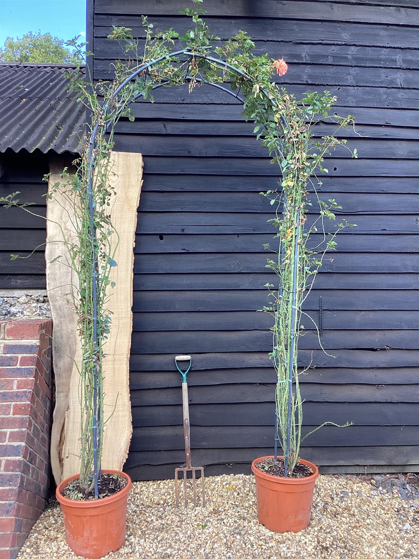 Rosa Climbing Mix - Arch - 250cm, 45lt