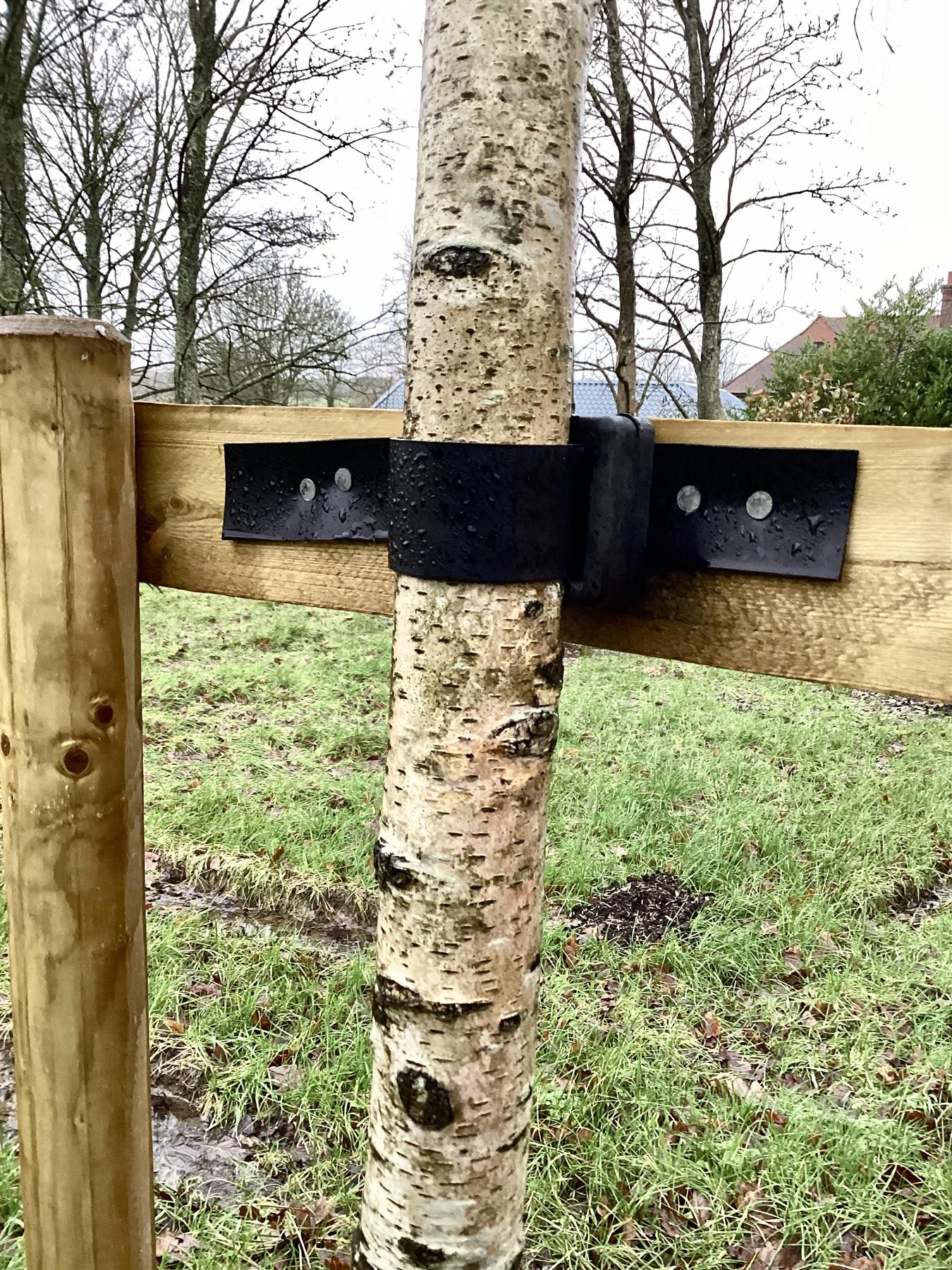 Tree Kit – Arundel Arboretum