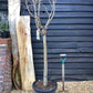 Pear tree 'Beurre Hardy' | Pyrus communis - Girth 18-20cm - 220-240cm - 50lt